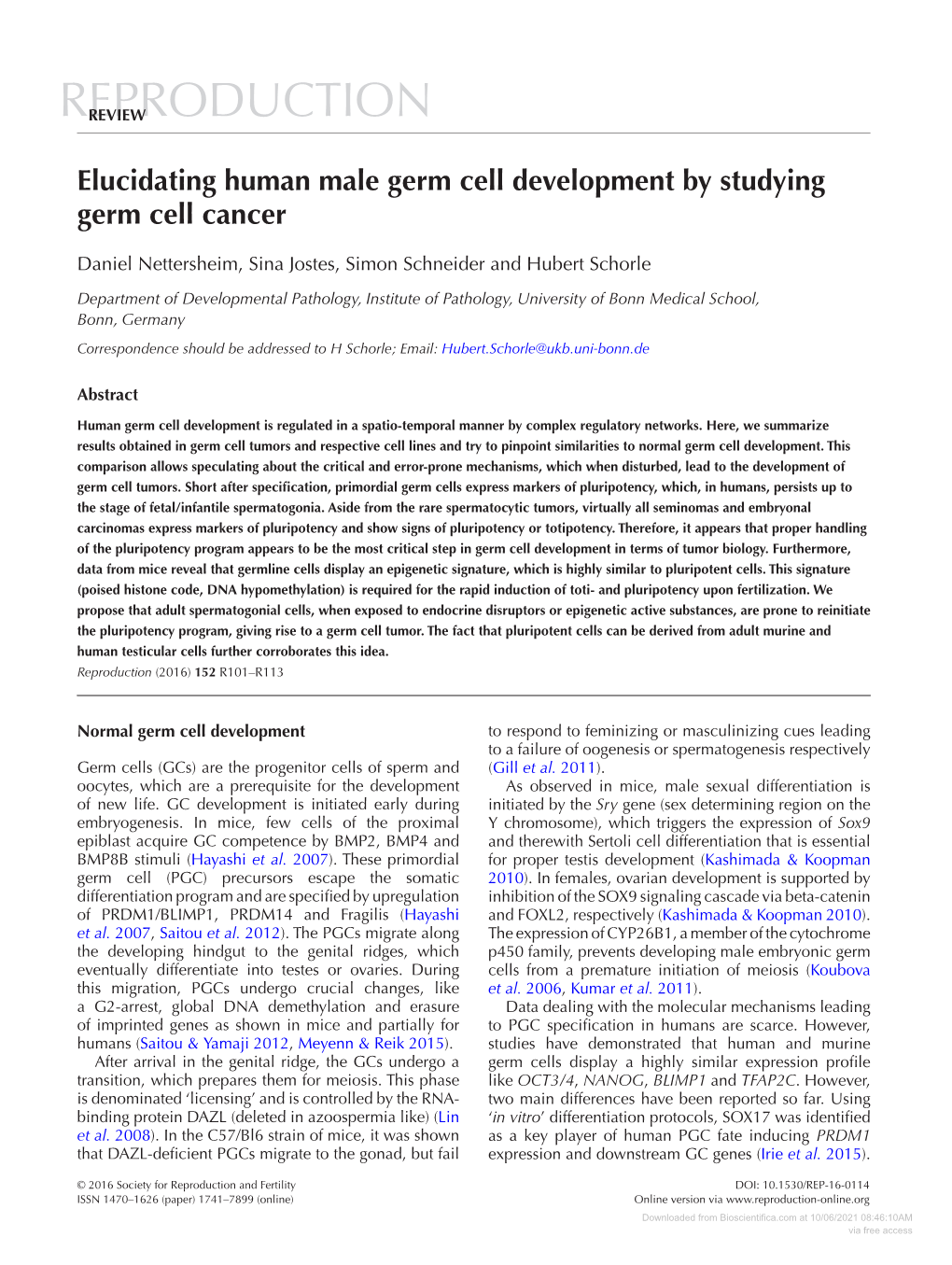 Elucidating Human Male Germ Cell Development by Studying Germ Cell Cancer