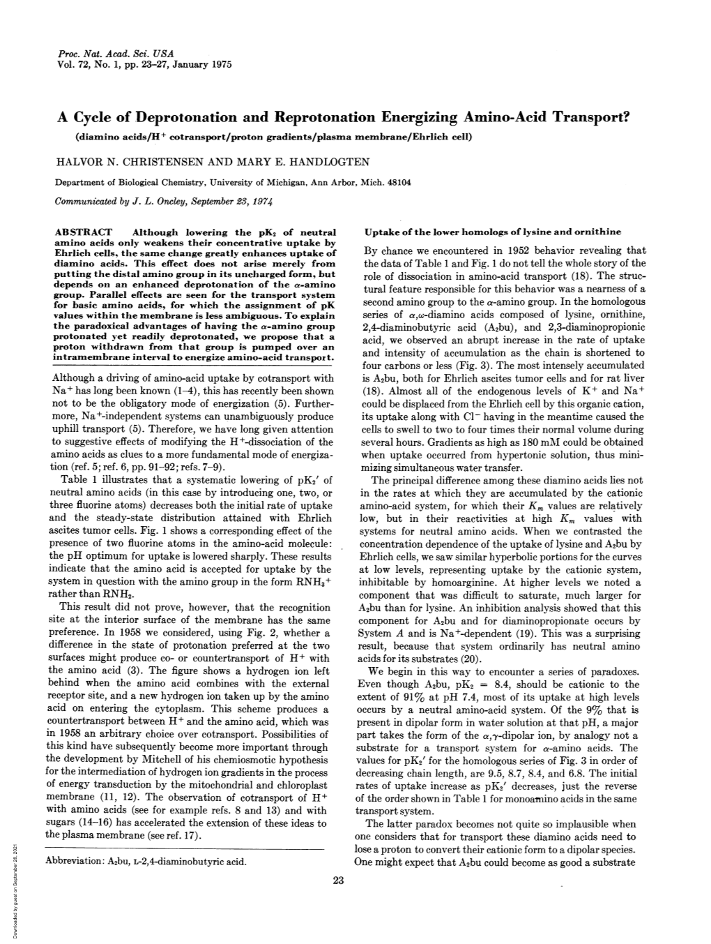 A Cycle of Deprotonation and Reprotonation Energizing Amino-Acid Transport? (Diamino Acids/H+ Cotransport/Proton Gradients/Plasma Membrane/Ehrlich Cell)