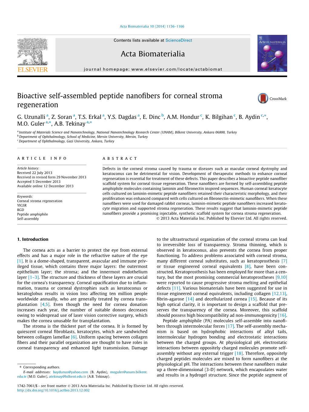 Bioactive Self-Assembled Peptide Nanofibers for Corneal Stroma