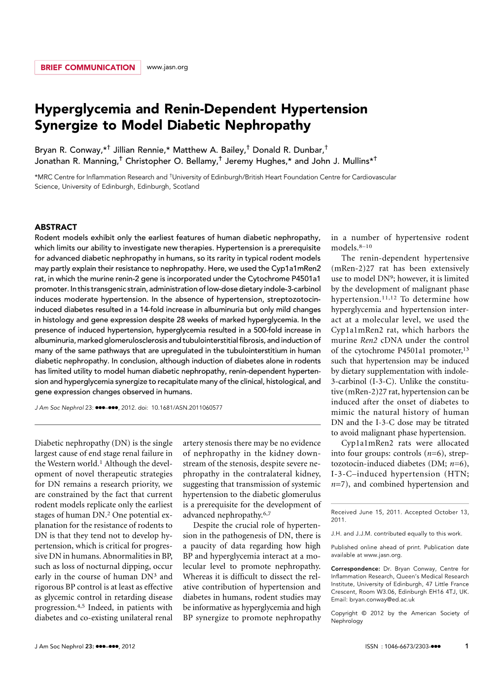 Hyperglycemia and Renin-Dependent Hypertension Synergize to Model Diabetic Nephropathy
