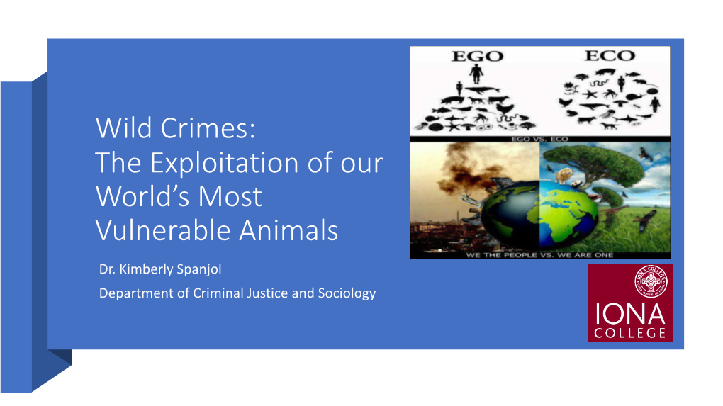 Wild Crimes: the Exploitation of Our World's