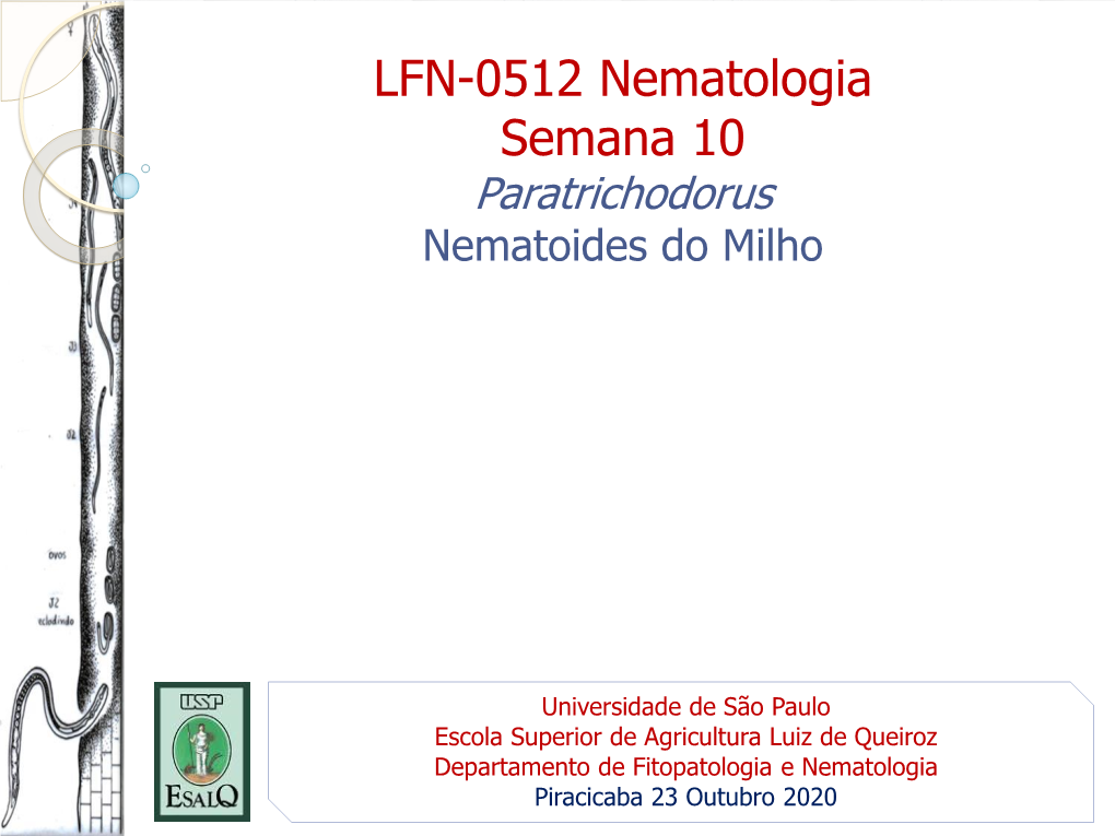 LFN-0512 Nematologia Semana 10 Paratrichodorus Nematoides Do Milho