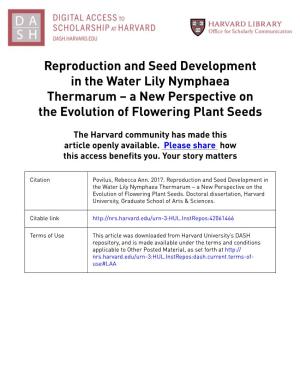 Reproduction and Seed Development in the Water Lily Nymphaea Thermarum – a New Perspective on the Evolution of Flowering Plant Seeds
