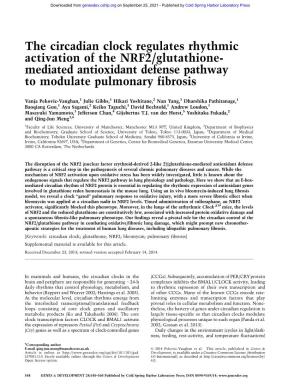 The Circadian Clock Regulates Rhythmic Activation of the NRF2/Glutathione- Mediated Antioxidant Defense Pathway to Modulate Pulmonary Fibrosis