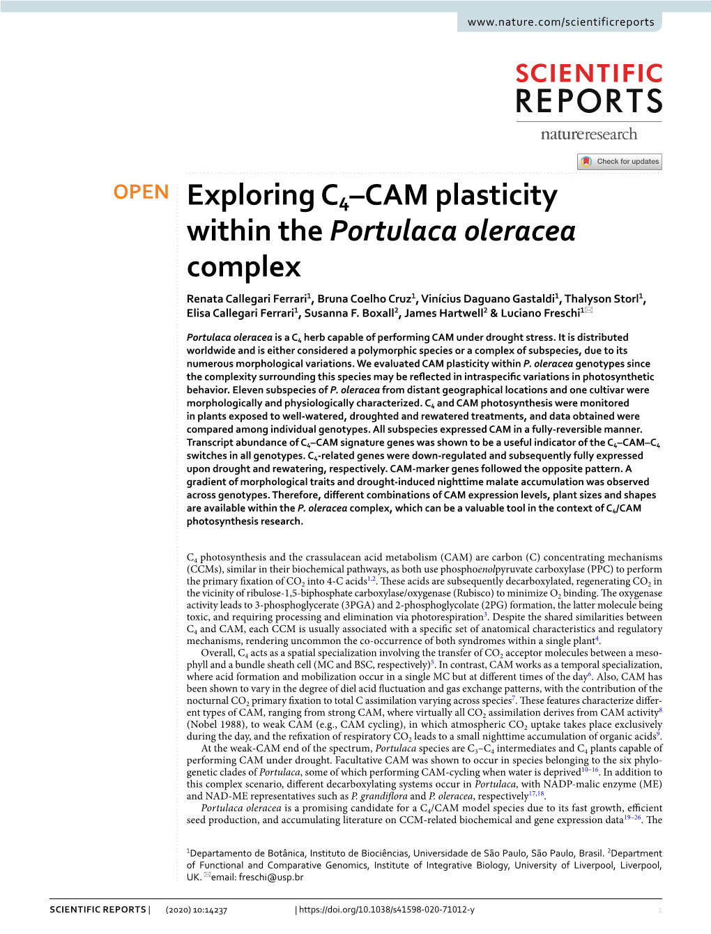 Exploring C4–CAM Plasticity Within the Portulaca Oleracea Complex