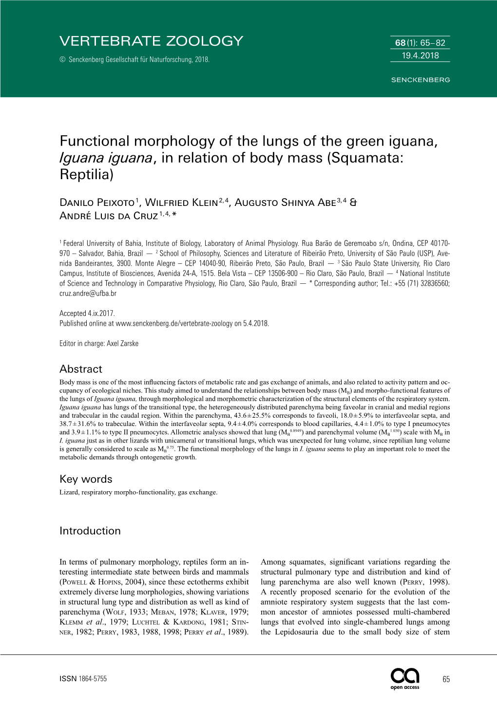 Functional Morphology of the Lungs of the Green Iguana, Iguana Iguana, in Relation of Body Mass (Squamata: Reptilia)