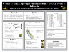 Genetic Identity and Phylogenetic Relationships of Invasive Brooms in California Annabelle Kleist and Marie Jasieniuk, UC Davis Department of Plant Sciences