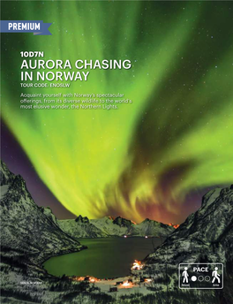 Aurora Chasing in Norway Tour Code: Enoslw
