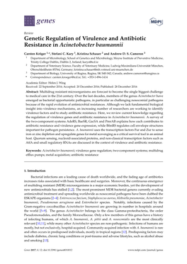 Genetic Regulation of Virulence and Antibiotic Resistance in Acinetobacter Baumannii