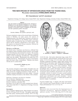 Vasandakumar 2 New Species Snail 1274