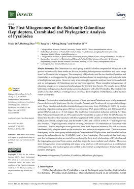 And Phylogenetic Analysis of Pyraloidea