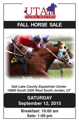 Fall Horse Sale
