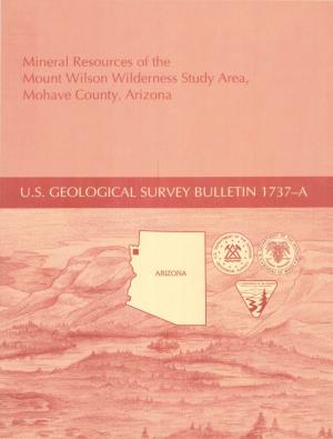 ARIZONA Chapter a Mineral Resources of the Mount Wilson Wilderness Study Area, Mohave County, Arizona