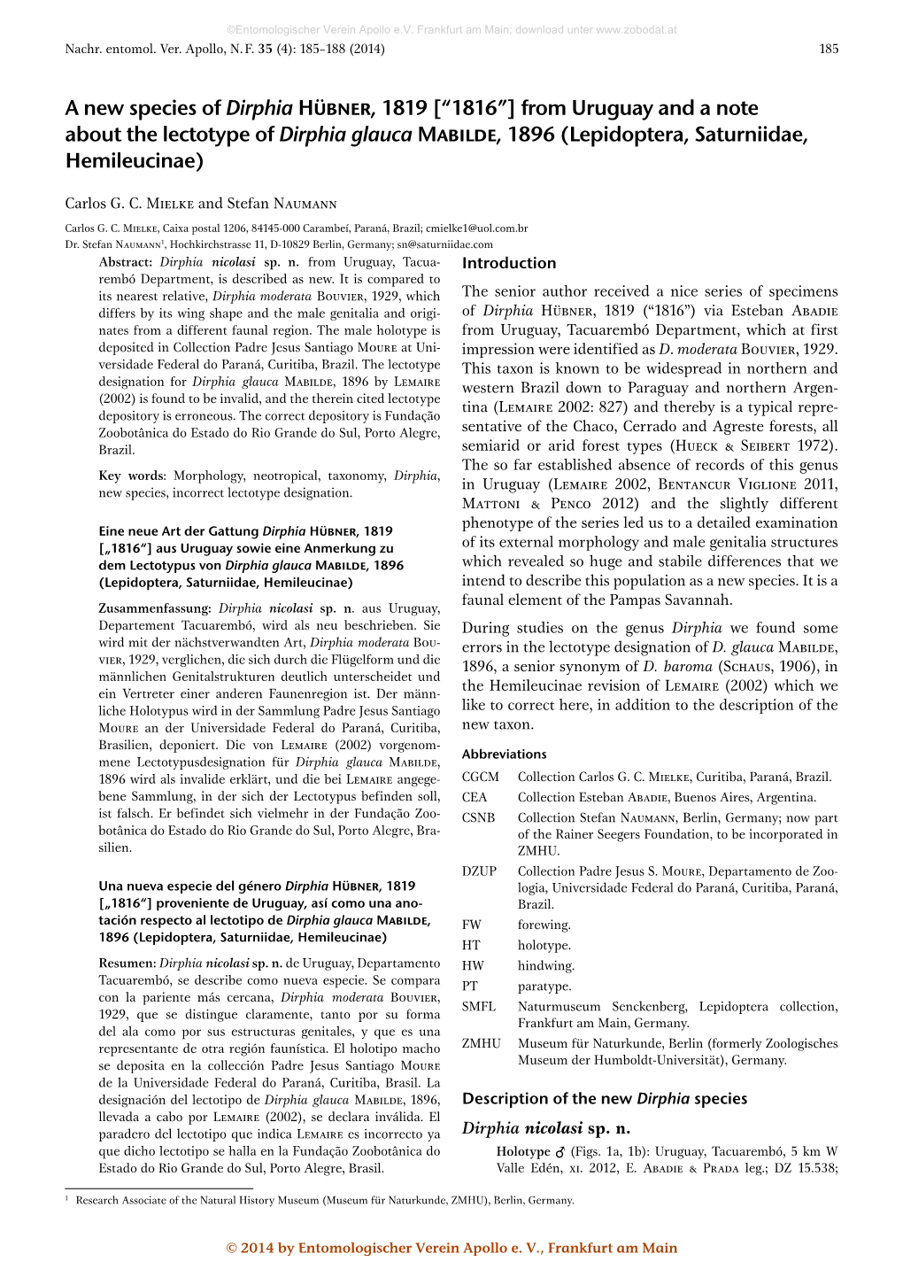 A New Species of Dirphia Hübner, 1819 [“1816”] from Uruguay and a Note About the Lectotype of Dirphia Glauca Mabilde, 1896 (Lepidoptera, Saturniidae, Hemileucinae)