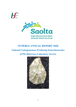 NCPERLS ANNUAL REPORT 2018 National Carbapenemase Producing Enterobacterales (CPE) Reference Laboratory Service