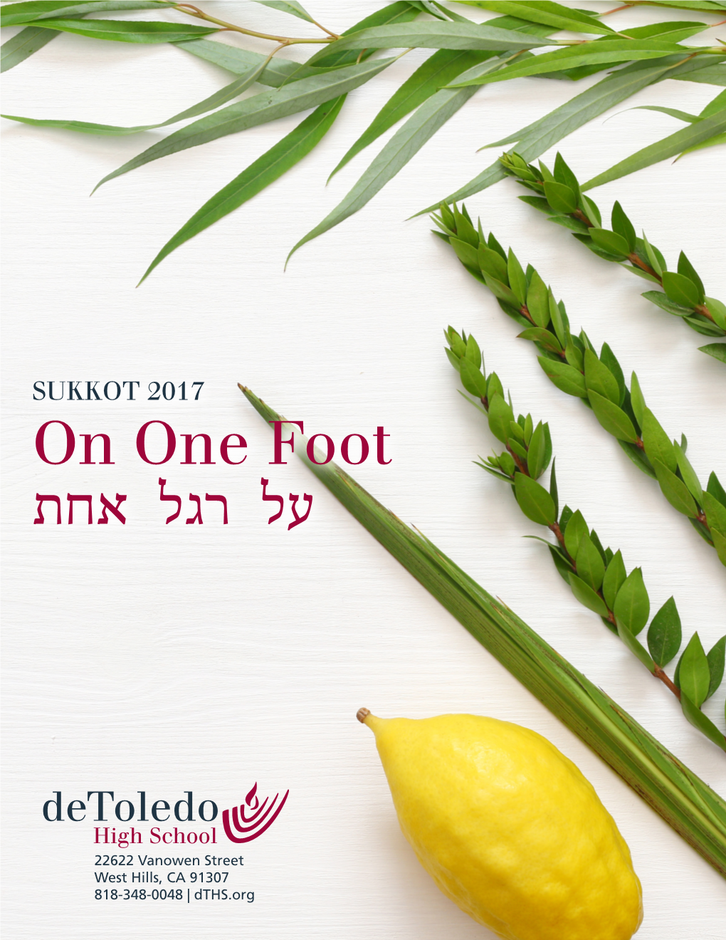 SUKKOT 2017 on One Foot על רגל אחת