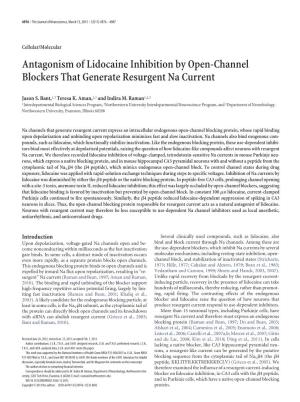 Antagonism of Lidocaine Inhibition by Open-Channel Blockers That Generate Resurgent Na Current