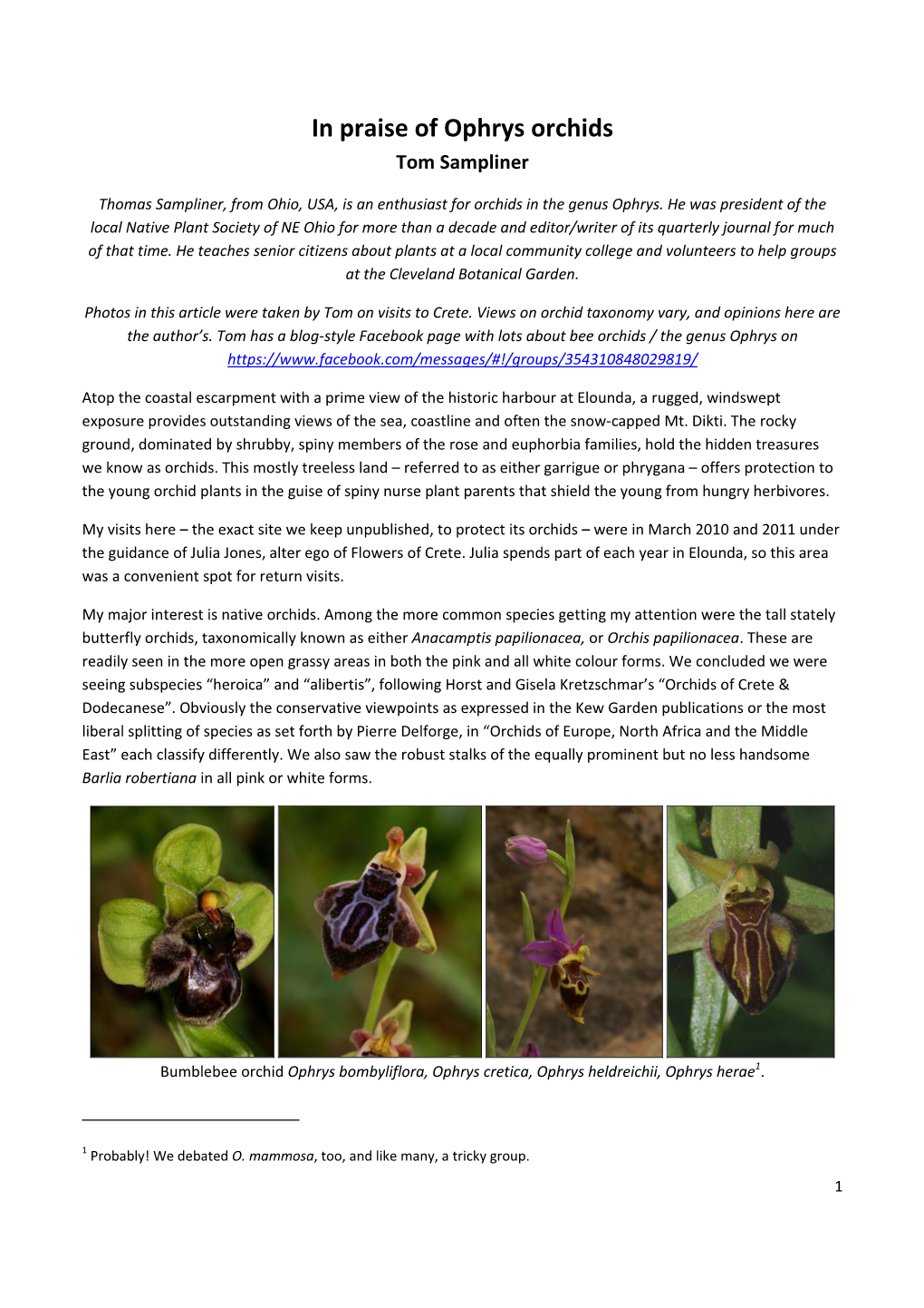 In Praise of Ophrys Orchids Tom Sampliner