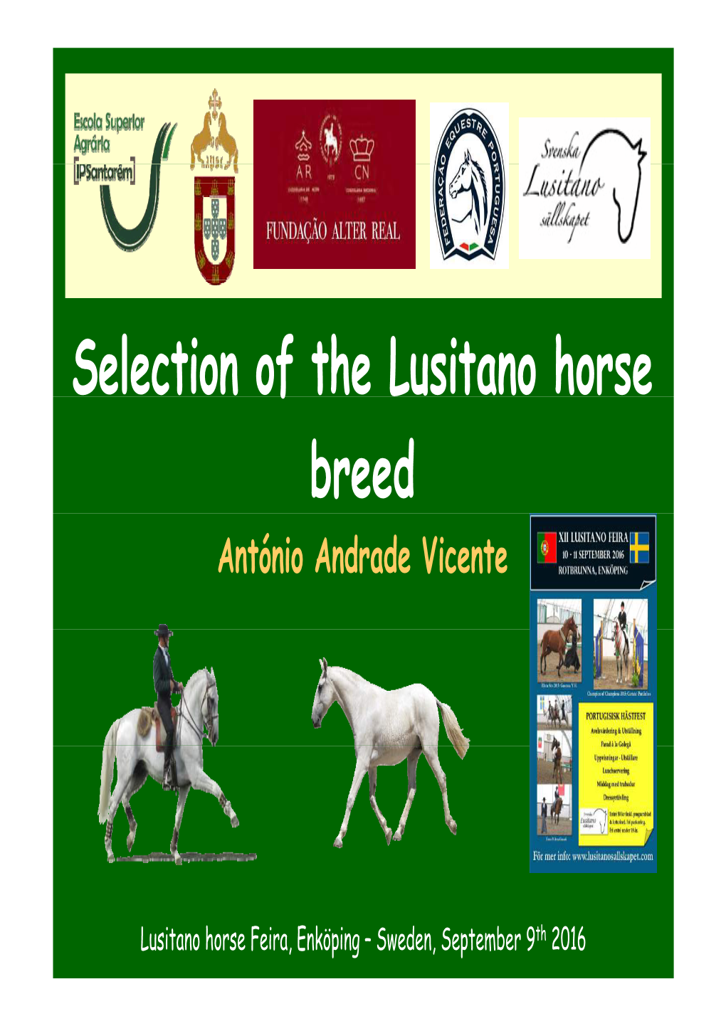 Selection of the Lusitano Horse F Breed