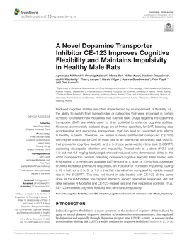 A Novel Dopamine Transporter Inhibitor CE-123 Improves Cognitive Flexibility and Maintains Impulsivity in Healthy Male Rats