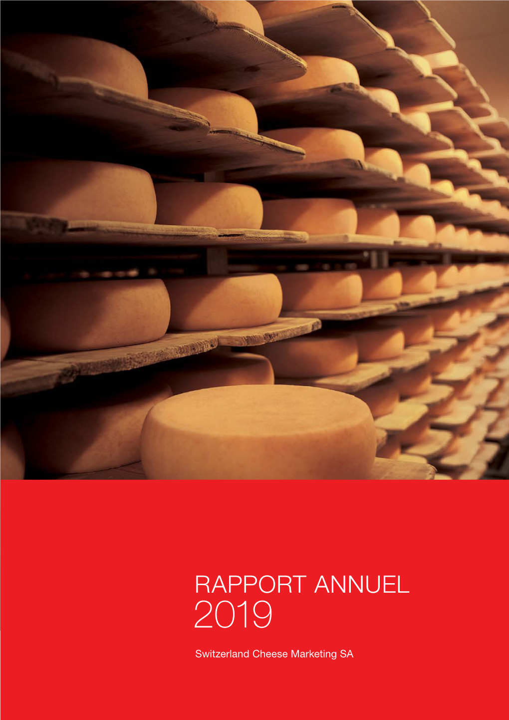 Rapport Annuel 2019