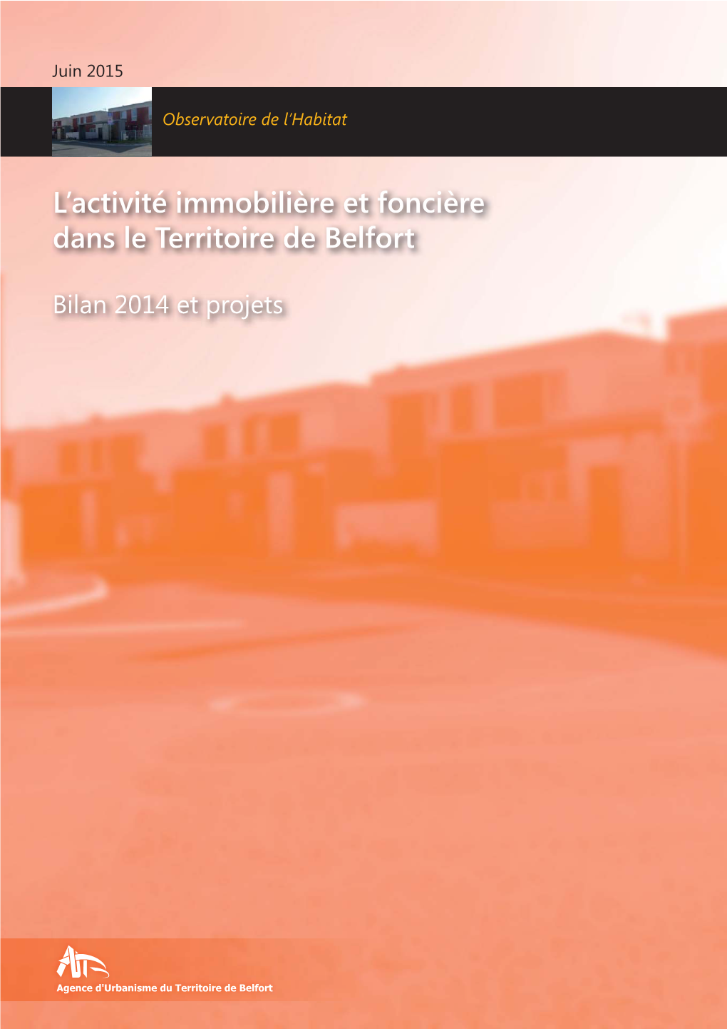 L'activité Immobilière Et Foncière Dans Le Territoire De Belfort