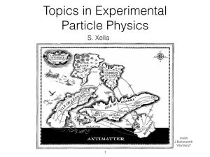 Topics in Experimental Particle Physics S