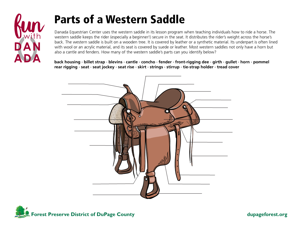 Parts of a Western Saddle Danada Equestrian Center Uses the Western Saddle in Its Lesson Program When Teaching Individuals How to Ride a Horse