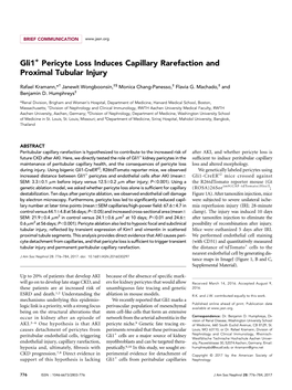 Gli1+ Pericyte Loss Induces Capillary Rarefaction and Proximal Tubular Injury
