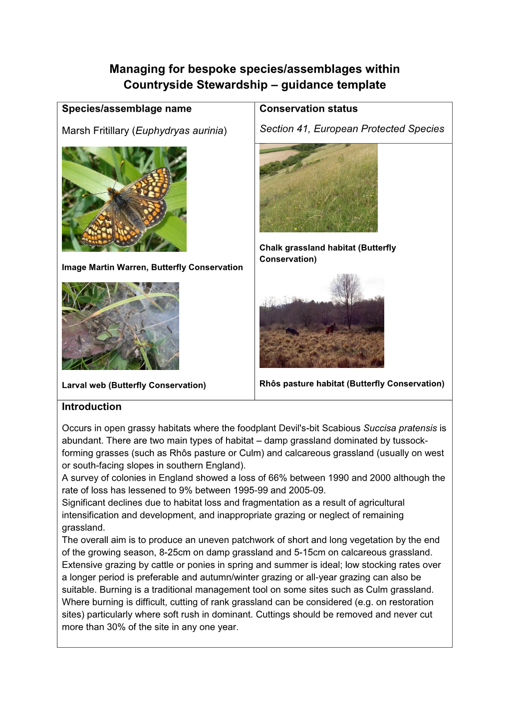 Marsh Fritillary (Euphydryas Aurinia) Section 41, European Protected Species