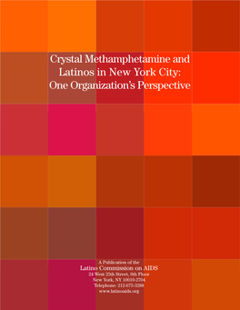 Crystal Methamphetamine and Latinos in New York City: One Organization's Perspective