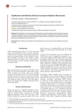 Typification and Identity of Riccia Macrospora Stephani (Ricciaceae) D