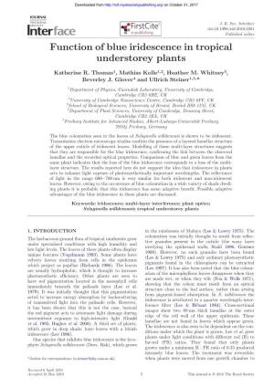 Function of Blue Iridescence in Tropical Understorey Plants