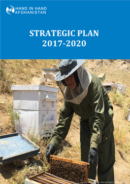 Strategic Plan