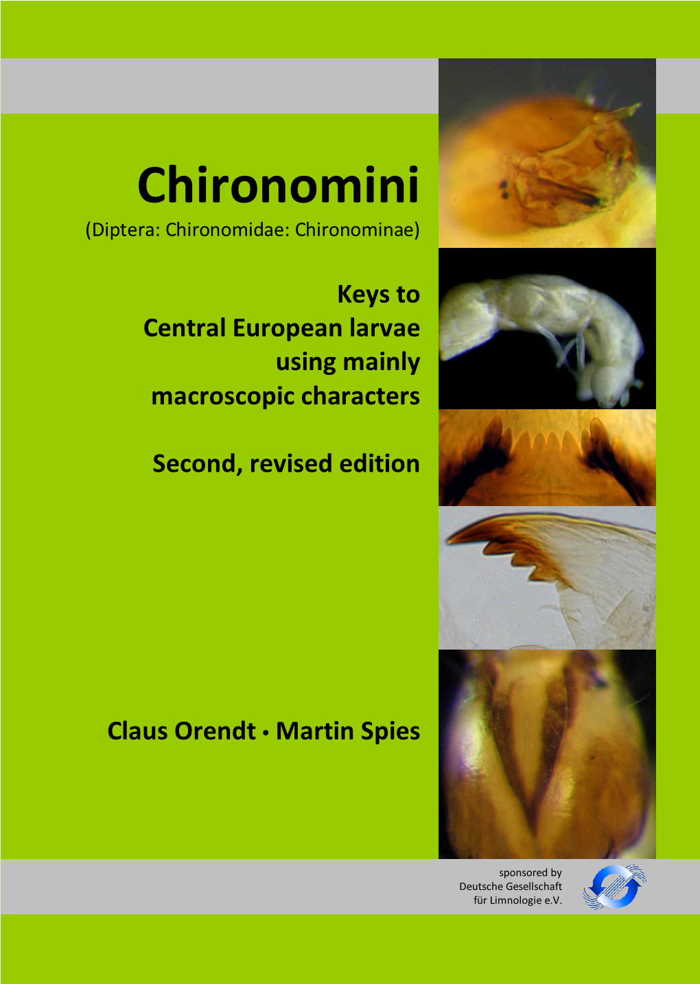 Chironomini (Diptera: Chironomidae: Chironominae)