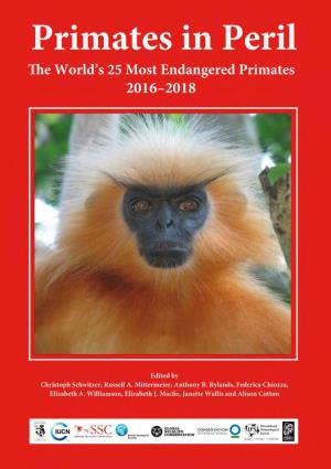World's Most Endangered Primates
