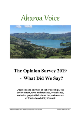 The Opinion Survey 2019 - What Did We Say ?