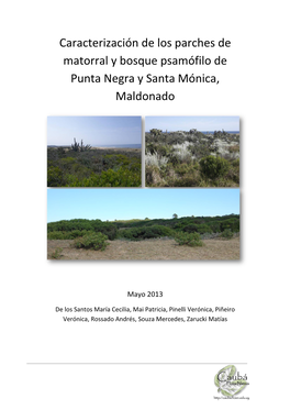 Caracterización De Los Parches De Matorral Y Bosque Psamófilo De Punta Negra Y Santa Mónica, Maldonado