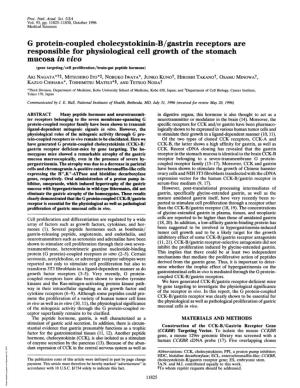 G Protein-Coupled Cholecystokinin-B/Gastrin