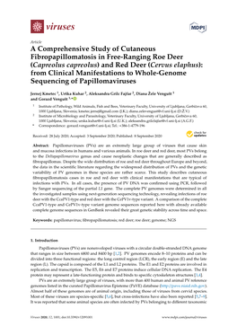 And Red Deer (Cervus Elaphus): from Clinical Manifestations to Whole-Genome Sequencing of Papillomaviruses