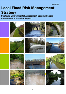 Environmental Baseline Report PDF 642 KB
