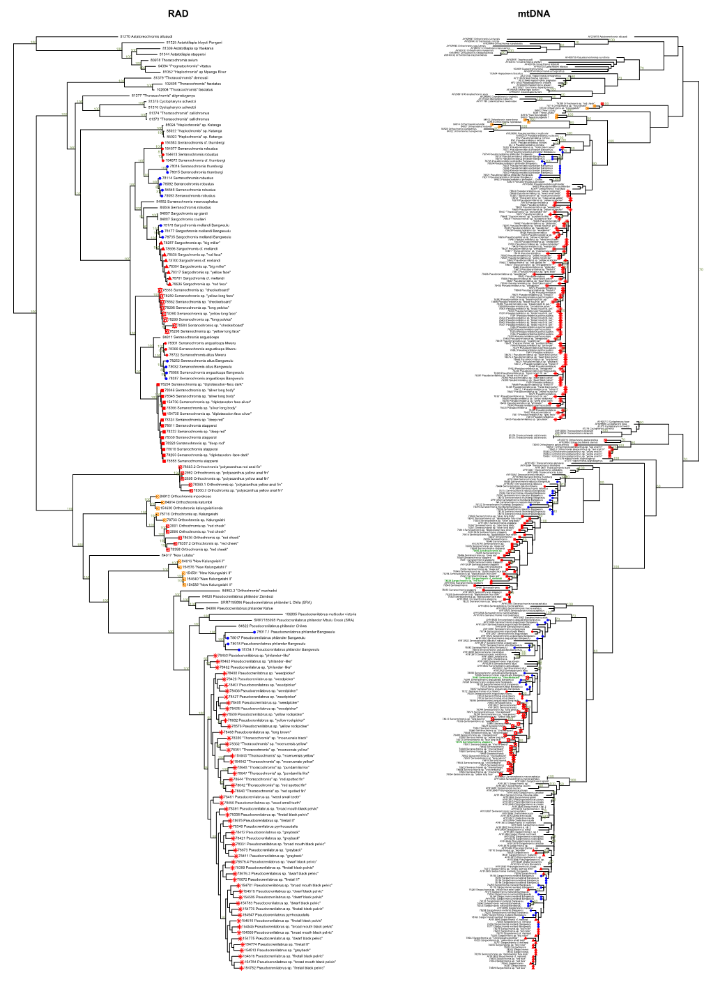 R Graphics Output