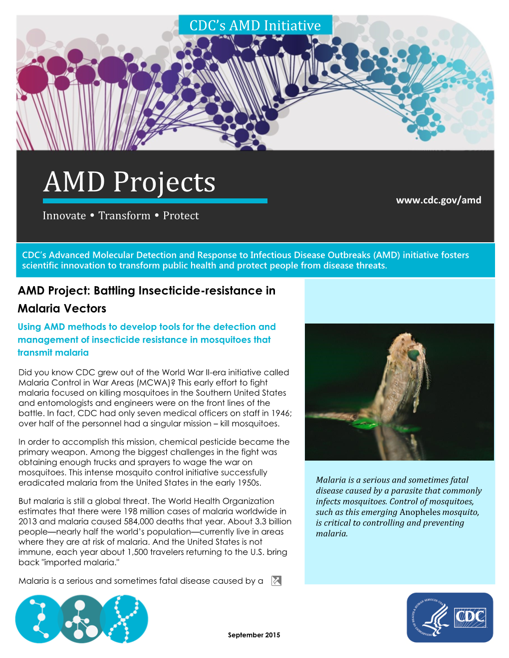 Amd-Projects-Insecticide-Resistance