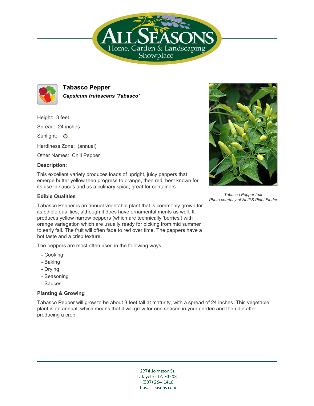 All Seasons Nursery Tabasco Pepper