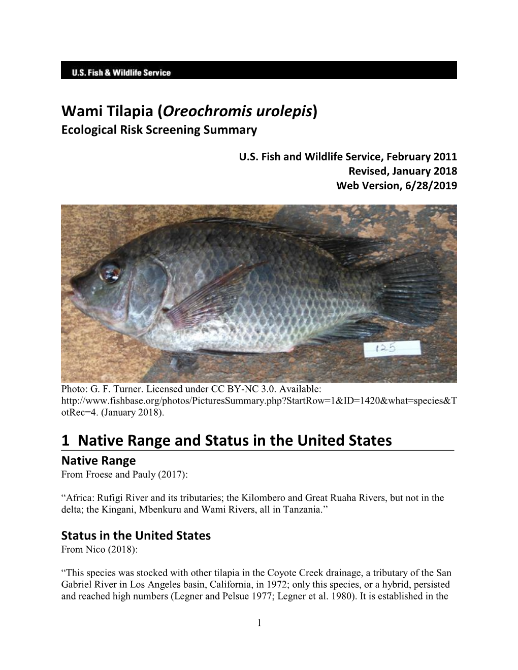 Oreochromis Urolepis) Ecological Risk Screening Summary