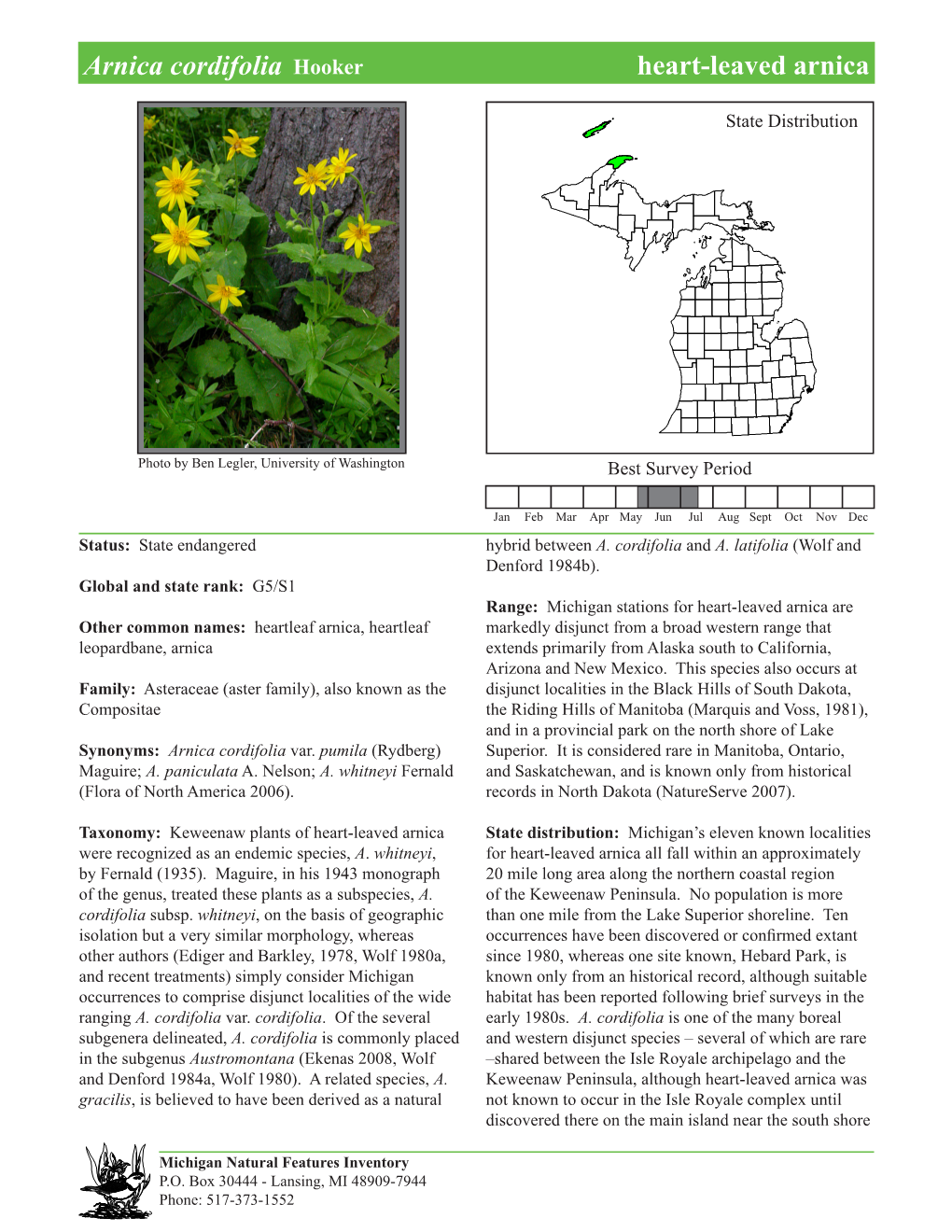 Arnica Cordifolia Hooker Heart-Leavedheart-Leaved Arnica, Arnica Page 1