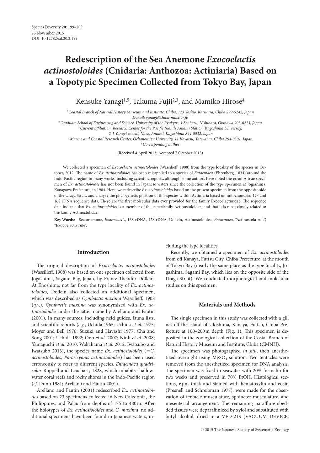 Redescription of the Sea Anemone Exocoelactis Actinostoloides (Cnidaria: Anthozoa: Actiniaria) Based on a Topotypic Specimen Collected from Tokyo Bay, Japan