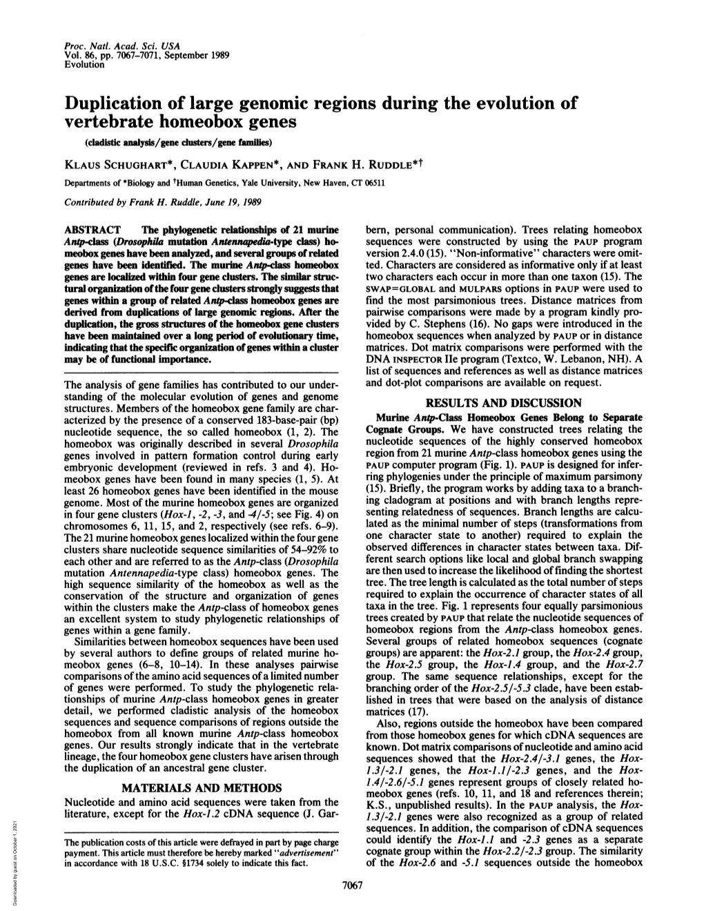 Duplication of Large Genomic Regions During the Evolution of Vertebrate