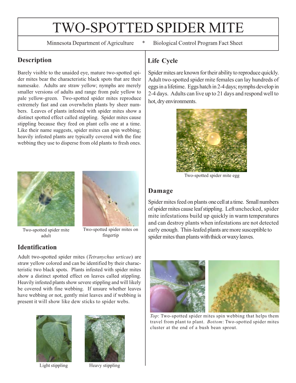 Two-Spotted Spider Mite Plant Pest Fact Sheet