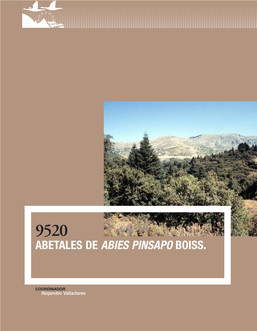 9520 Abetales De Abies Pinsapo Boiss
